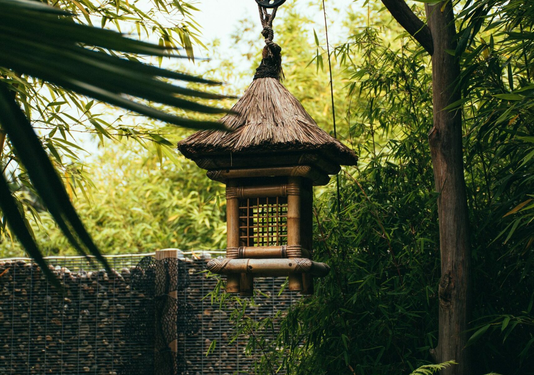 Thérapie de l’anxiété, dépression, burn-out, Confiance en soi et estime de soi, relation toxique, traumatisme, émotions